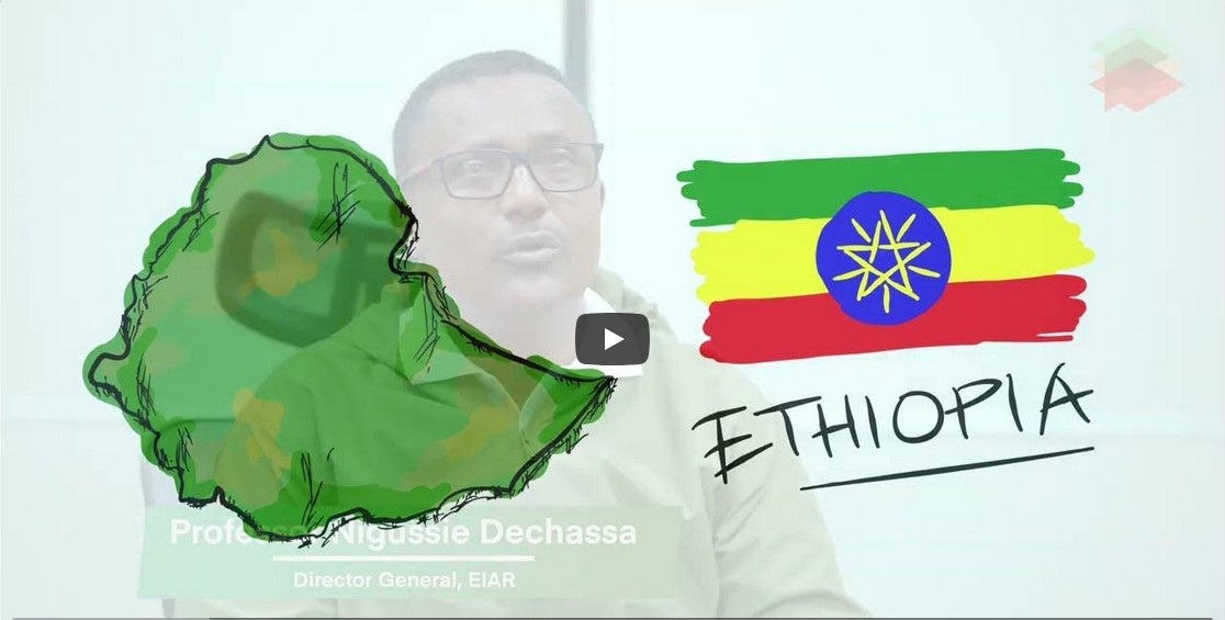 LSC-IS hub in Ethiopia teaser